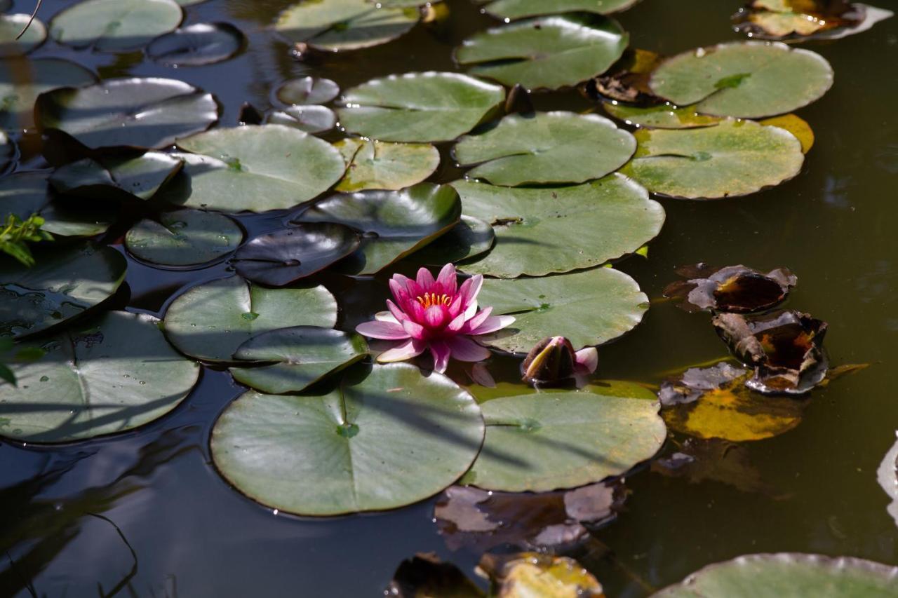 La Varangue Lacanau Buitenkant foto